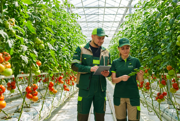 Her sezon aynı kaliteyi üretmenin sırrı: kontrollü ve tekrarlanabilir bir ortam