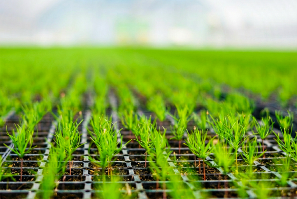 Toprağa Attığımız Her Adımda Bilim Var.