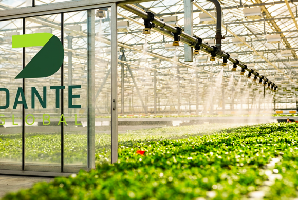 Tohumun potansiyelini açığa çıkaran bilimsel yetiştirme.