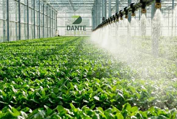 Kalite tesadüf değil; ölçülen, doğrulanan ve tekrar edilen bir süreçtir.